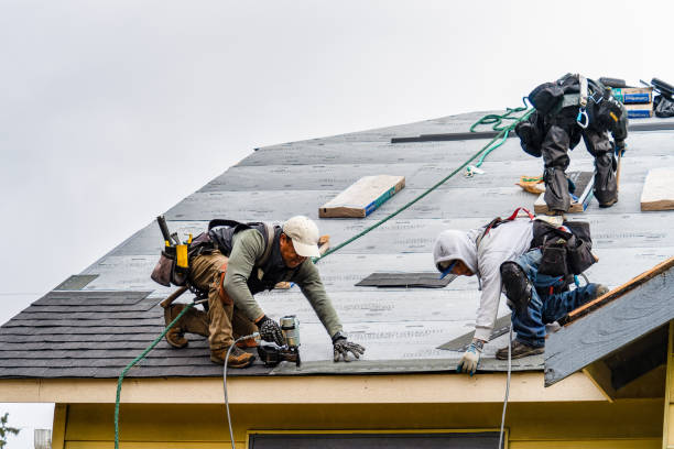 Professional Roofing technician working in Beach Lake, PA